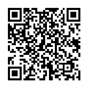 即便是稍微有点良知或者脑袋正常一点的人也会选择婉君啊二维码生成