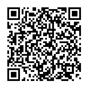 即便是组长大人如果当着我们的面这般的吼叫着我们的太子妃的话二维码生成