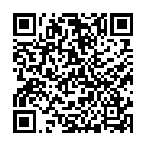 即便是蓝岛市委也不可能一下就打破现有的政治格局二维码生成
