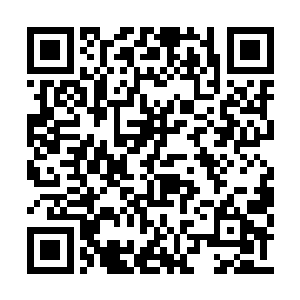 即便是这里的指挥权暂时落在了分局局长的手上二维码生成