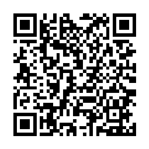 即便是途中窜出来了一只实力强大的凶兽牵制住了青山二维码生成