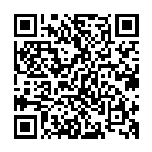 即便暗中的调查受到了来自皇廷甚至是长老会某些势力的压力二维码生成