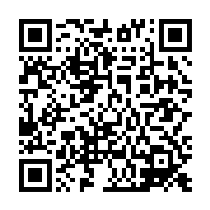 即便有了灵器来做抵御还是会有那种令人皮肉生痛的感觉二维码生成