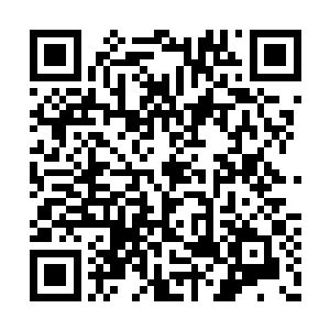 即便有溜达到人类城镇附近都被虐杀个干干净净二维码生成