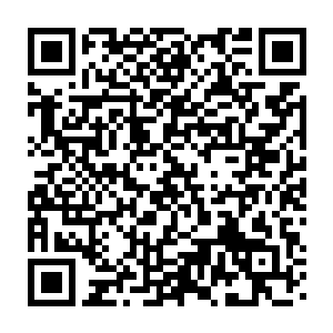 即便站在一旁的大太太和三太太以及几位堂姐也觉得浑身不得劲儿二维码生成