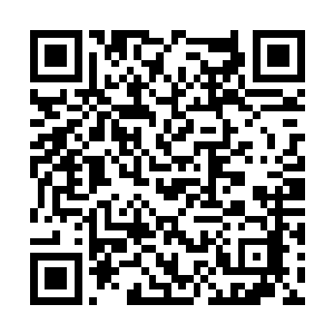 即便纳兰雪那一头火红色的长发在夕阳余晖中跳跃二维码生成