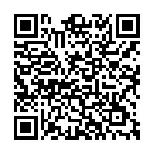 即便联赛水平可能要比北美和欧洲赛区强上一些二维码生成