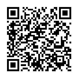 即便贾靓儿知道自己的信息和动向而对自己下绊子二维码生成