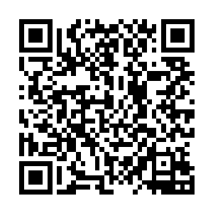 即便这些人真有那极个别有可能从其他途径得知元珠存在的二维码生成