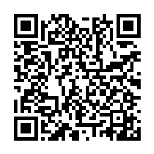 即便闻人照吆喝着要把自己那票投给姐姐闻人牧月二维码生成