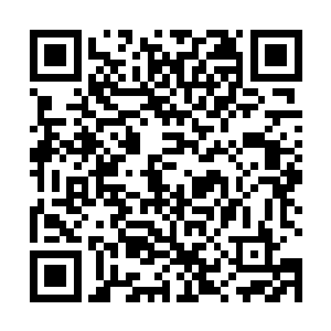 即日起率林家儿女家将前去帮朕缉拿周家主要人物归案二维码生成