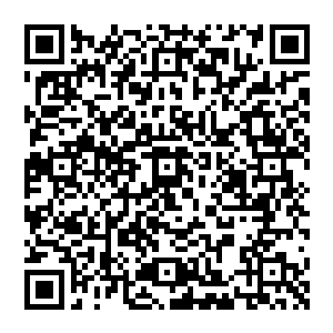 即练到凡体有极九转之后就无法再提升层次的那种人……其实力也相当于那些武侠小说中的一流高手了二维码生成