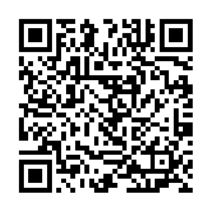 却不代表他们不敢对这六个海神殿的水系至尊下手的二维码生成