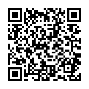 却不如服部家族在伊贺流如此强大的势力和影响力的二维码生成