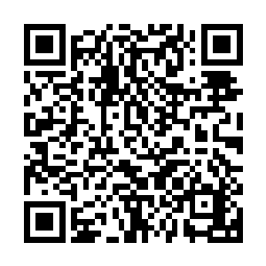 却不想在自己的黑书空间里造成怪异事件的罪魁祸首居然是它们二维码生成