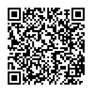 却不知道有一天被自己身边的人捅一刀的时候他会是什么样的表情二维码生成