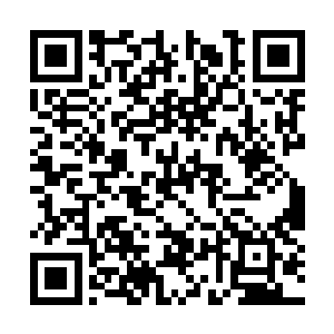 却与我们当下正在生活的这个世界迥然不同的规律二维码生成