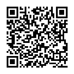 却丝毫不记得或者说不在乎万藏海的背叛和抛弃二维码生成