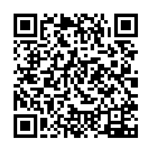 却也不会傻乎乎地一上来就完全暴露自己这边的底牌二维码生成