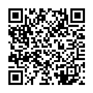 却也不想想小门小户出身的女孩子哪里有什么识见二维码生成