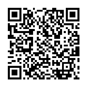 却也不敢自认自己的天赋比年轻时候的九位长老还要厉害二维码生成