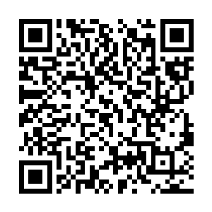 却也无法独自一人干掉那么多丧尸将她的朋友救出二维码生成