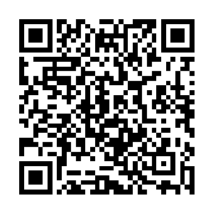 却也曾做过在战场上背负徐骁挡下足足十一剑的壮举二维码生成