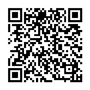却从来没想过他们其实应该首先为支持他们的球迷而战二维码生成