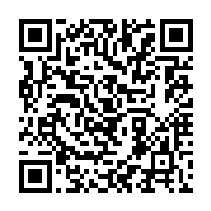 却以极快的肉眼看不到的速度被临天小家伙给吸收着二维码生成