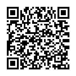 却依旧有那么一些害群之马混在好学生的队伍里二维码生成