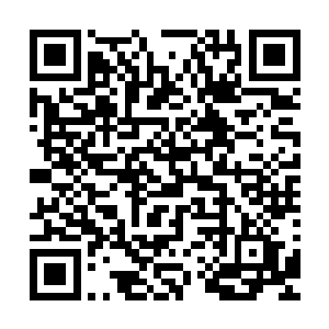 却依然是在小声议论着那个让他们双方都吃过大亏的济安郡主二维码生成