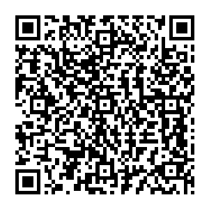 却借着老妈子身体阻挡住另外一个老妈子视线的机会迅速将手里拧开的白瓶药水倒进了汤锅里面二维码生成