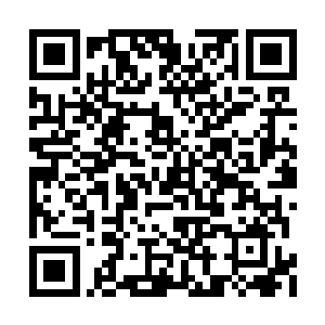 却偷偷地跑去观看那场人族和魔族的全面性战斗二维码生成
