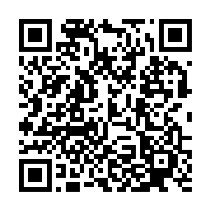 却像是四块较大的拼图有了四块较大的拼图充当基础二维码生成