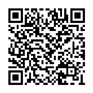 却先被九星会的杀手夺去了性命……你说这个仇二维码生成