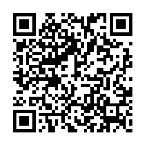 却再次刷新沈千寻和龙天若对于无耻二字的认识二维码生成