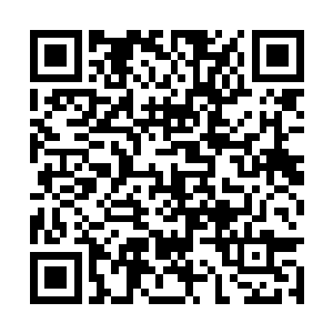 却几乎可以算得上是除了小千圣宗以外的第二势力二维码生成