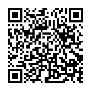 却几乎没有失败过的……那么他敢说要干掉那个阵法高手二维码生成