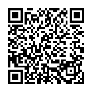 却又撞见胖子张真手上拿着一叠的白纸急匆匆地也往外跑二维码生成