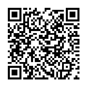 却又绝对不能被可能一口就能把她吃了主人看到~二维码生成