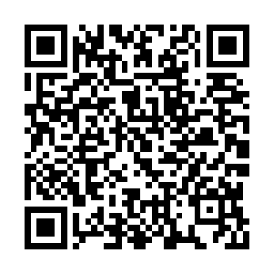 却发现张卫国像个榆木疙瘩一样呆愣愣望着白昊二维码生成