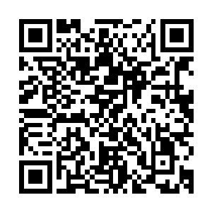 却发现根本查阅不到你的信息……当时我还以为你已经……呵呵二维码生成