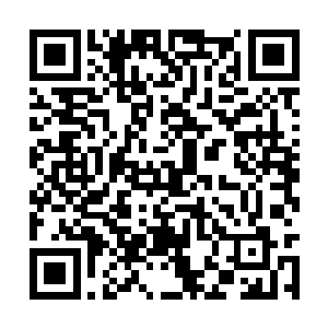 却发现那个长老却站在距离自己不远处的一个位置二维码生成