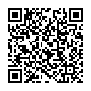 却只感觉到有一片丝滑的衣袂自他的手心轻轻掠过二维码生成