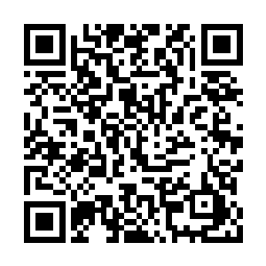 却听到老龟的声音从高空中传到了我们的耳朵里二维码生成