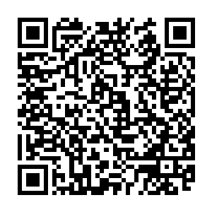 却因为这个泰国湾原油钻探的项目跟他们偶然谈起了钻石运河的事情……二维码生成