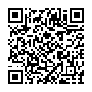 却因为黄金之子的降临而注入了一股别样的生机二维码生成