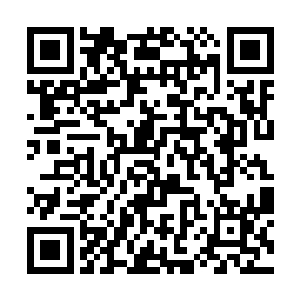 却在抬眼间瞧见钟家三夫人眼里一闪而过的轻松神情二维码生成