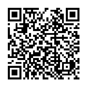 却在明知君家大公子不成器又贪花好色时坚持要嫁二维码生成