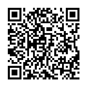 却在此时那不断入侵的身体的寒气猛然的被自身血脉同化二维码生成